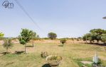 CERVETERI VIA AURELIA 46, EX CASALE ENTE MAREMMA CON TERRENNO 1000 MQ