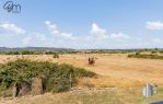 CERVETERI VIA AURELIA 46, EX CASALE ENTE MAREMMA CON TERRENNO 1000 MQ